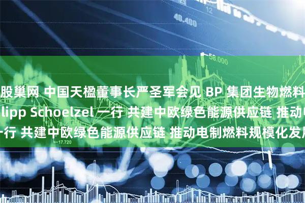 股巢网 中国天楹董事长严圣军会见 BP 集团生物燃料业务高级副总裁 Philipp Schoelzel 一行 共建中欧绿色能源供应链 推动电制燃料规模化发展